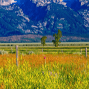 Wyoming