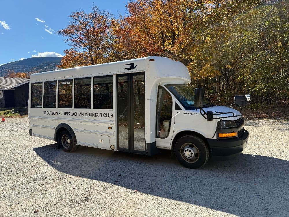 2019 Chevrolet Microbird G5 - Image 4