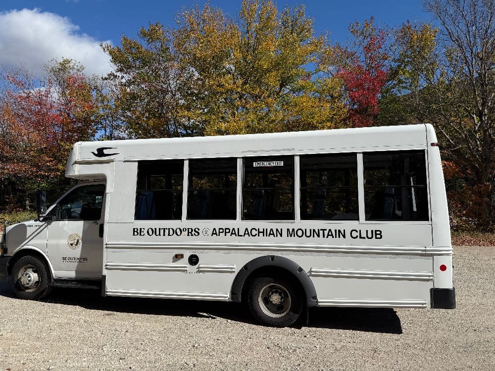 2019 Chevrolet Microbird G5 - Image 6