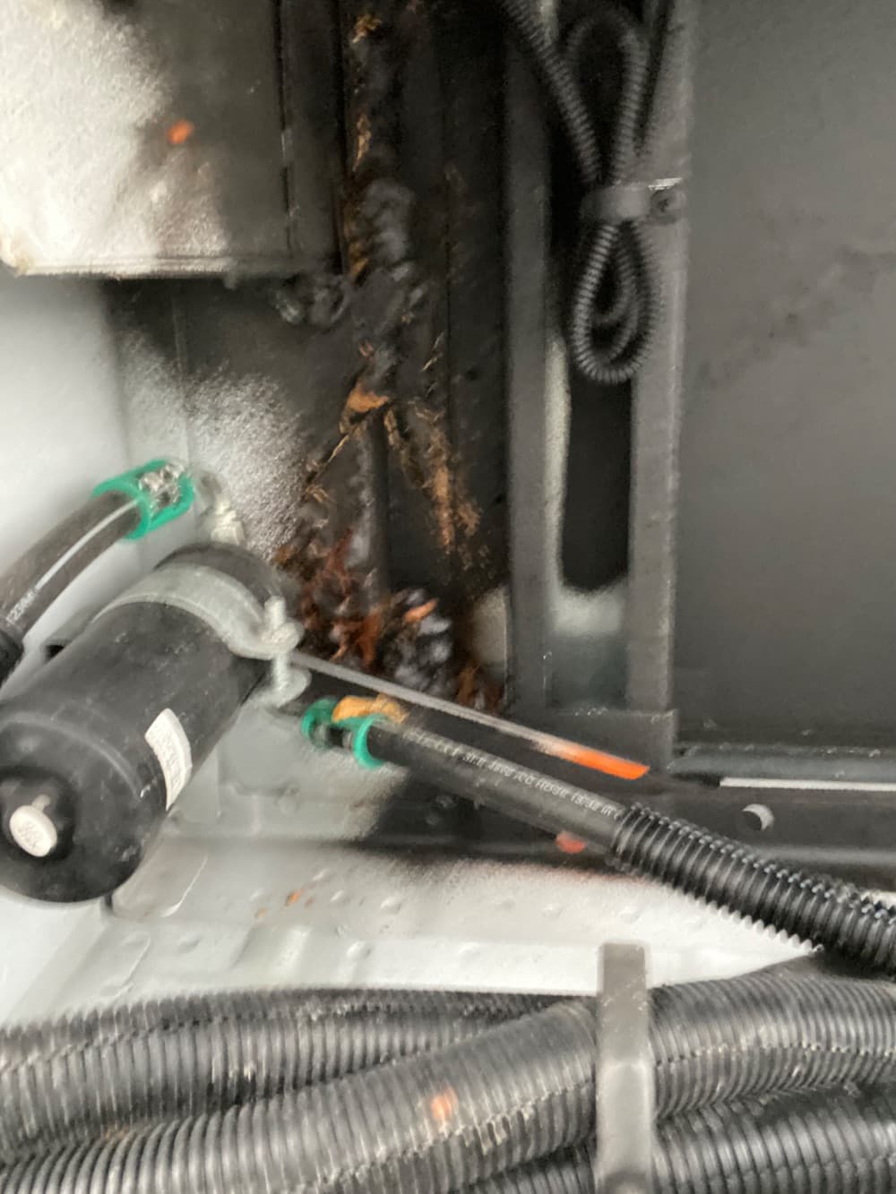 2023 Ford  Collins - Image 11