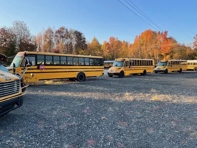 20 Bus School FLEET BULK DEAL - Image 9