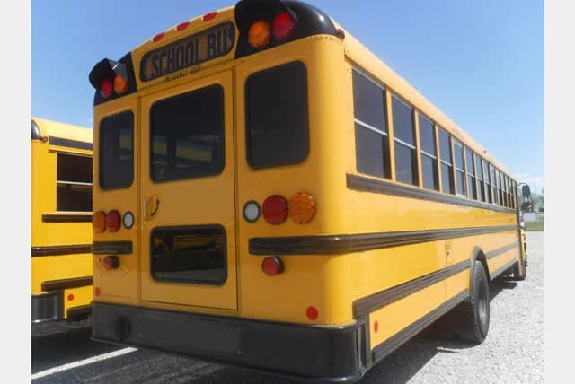 2020 International IC CE School Bus - Image 4