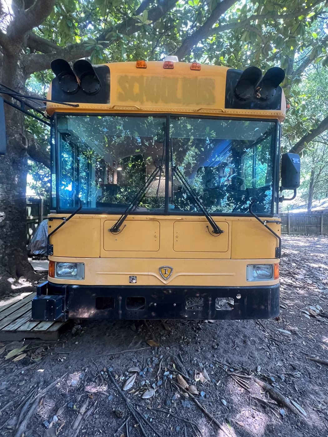 1999 International RE3000 Skoolie - Image 2
