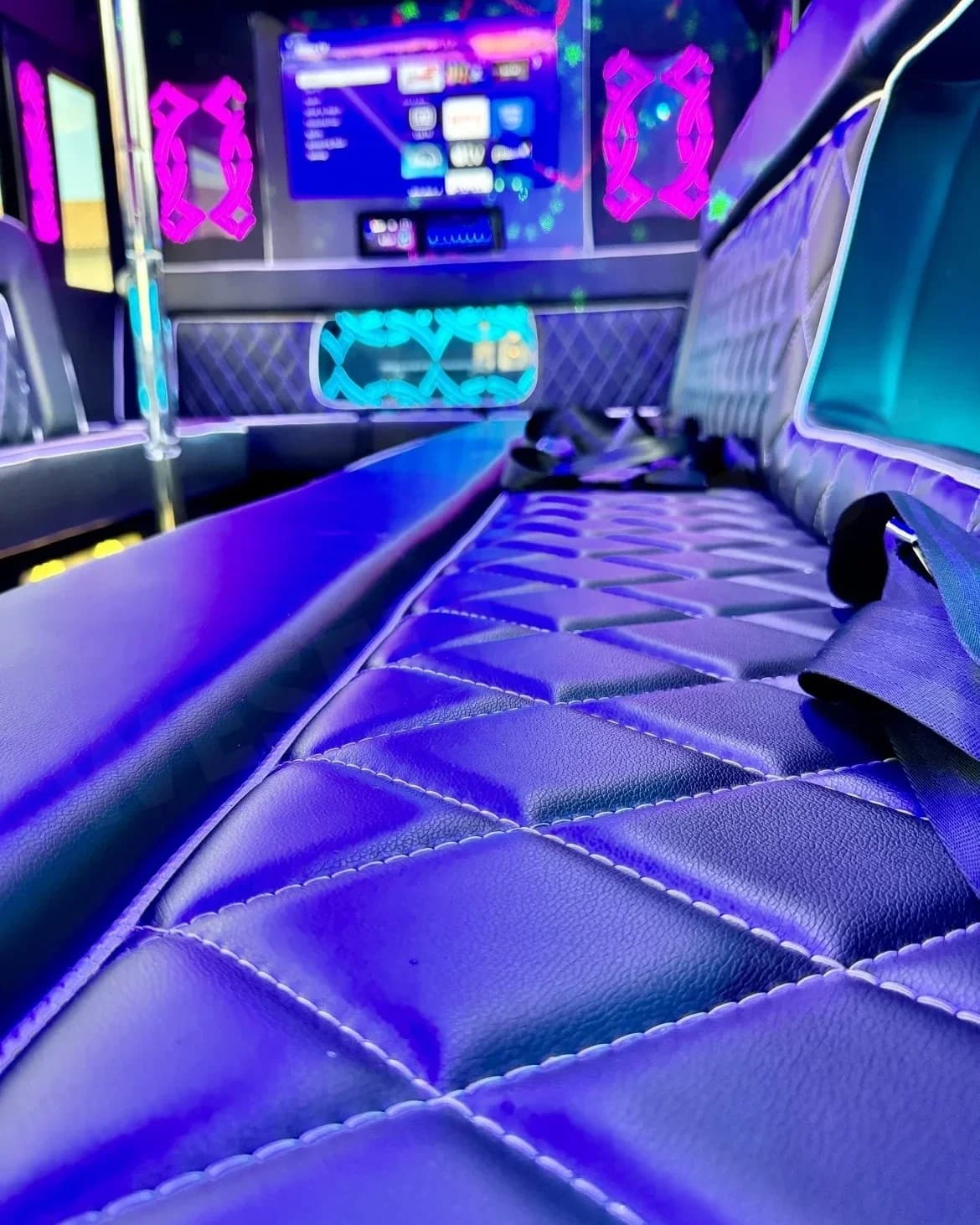 2016 Ford E450 Limo Bus - Image 10
