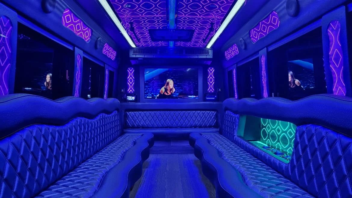 2018 Ford E450 Limo - Image 5