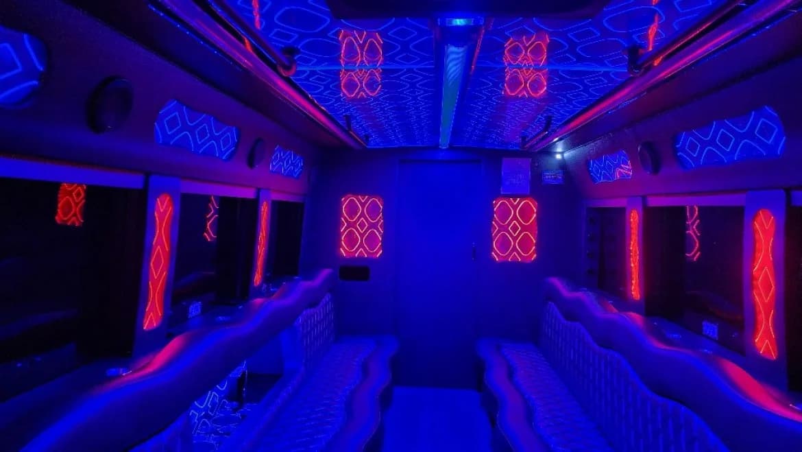 2018 Ford E450 Limo - Image 6