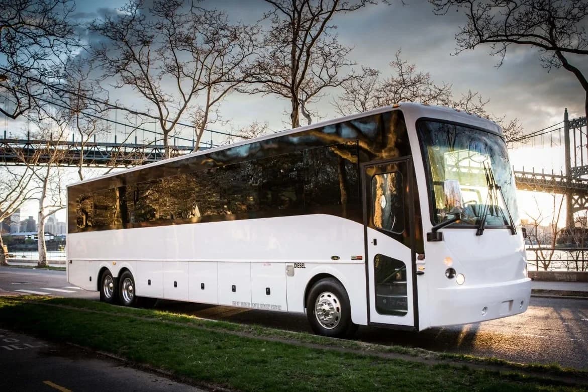 2015 Freightliner Workhorse Limo Bus - Image 1