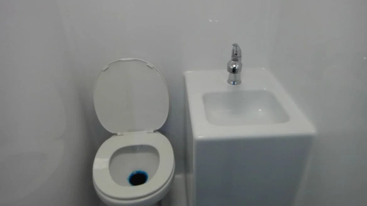 2015 Freightliner Workhorse Limo Bus - Image 8