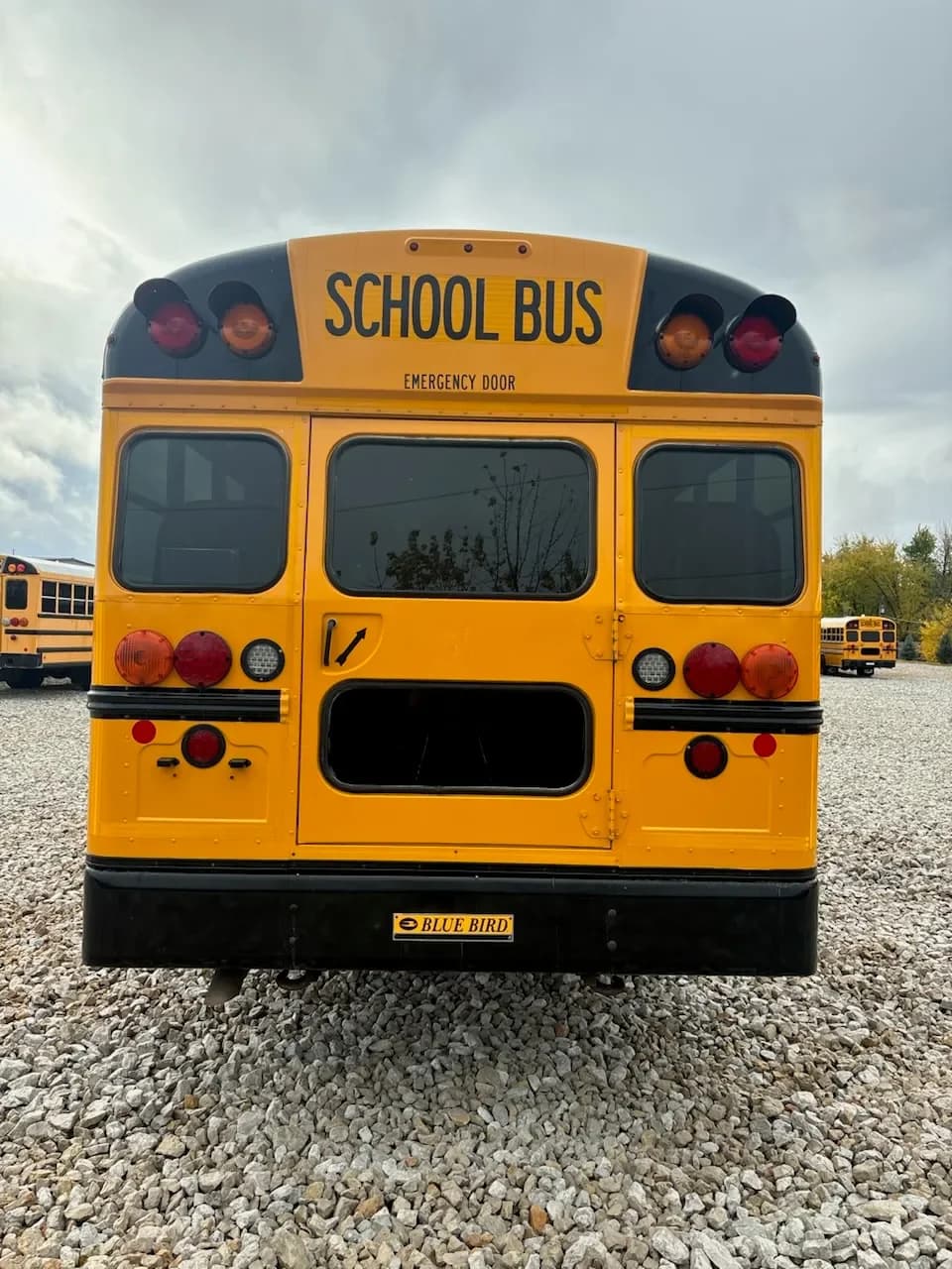 2019 Blue Bird All American FE School Bus - Image 4