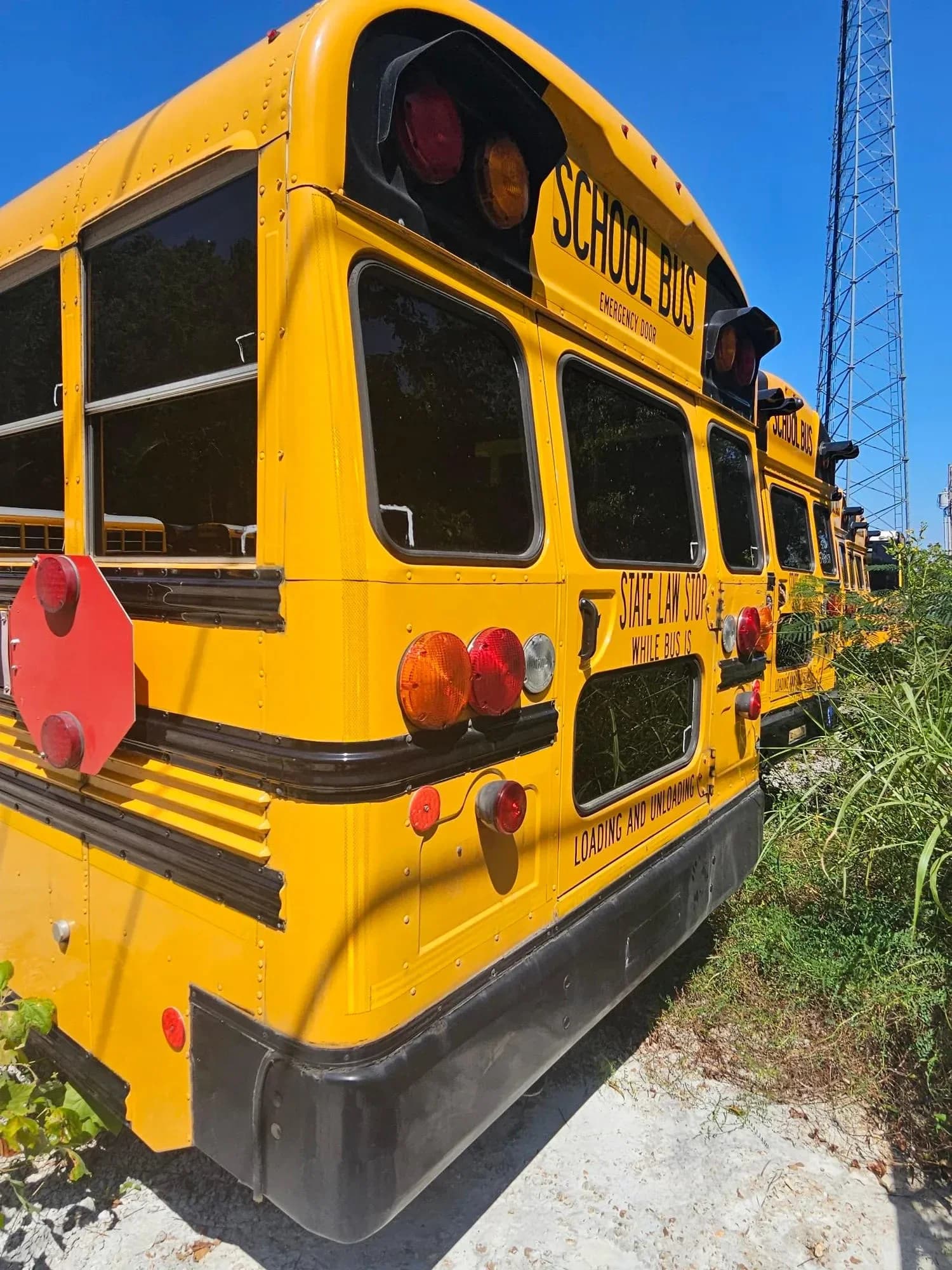 2015 Blue Bird Vision School Bus - Image 4