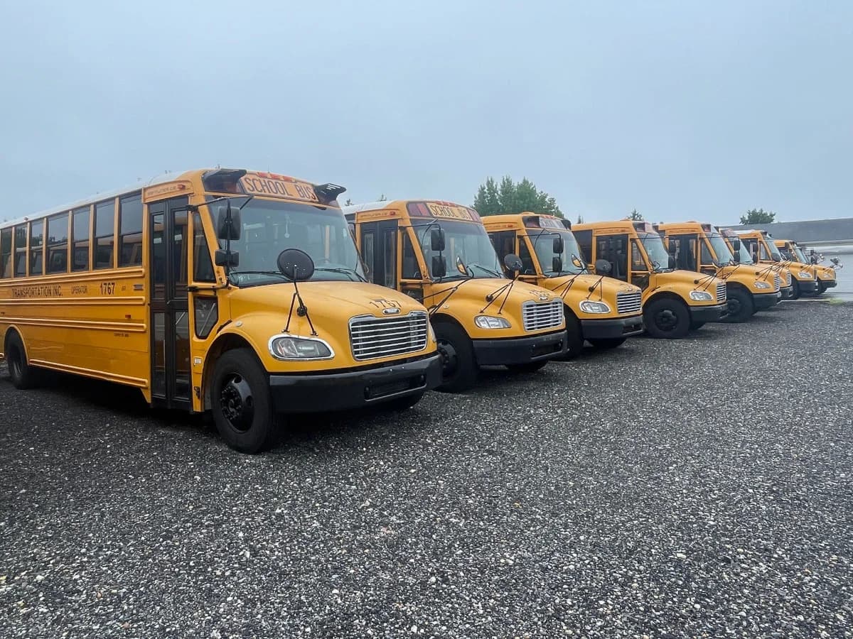 10 Bus Package Deal - Image 2