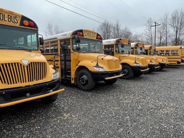 Bulk Group of 12 2015 International CE - Image 19