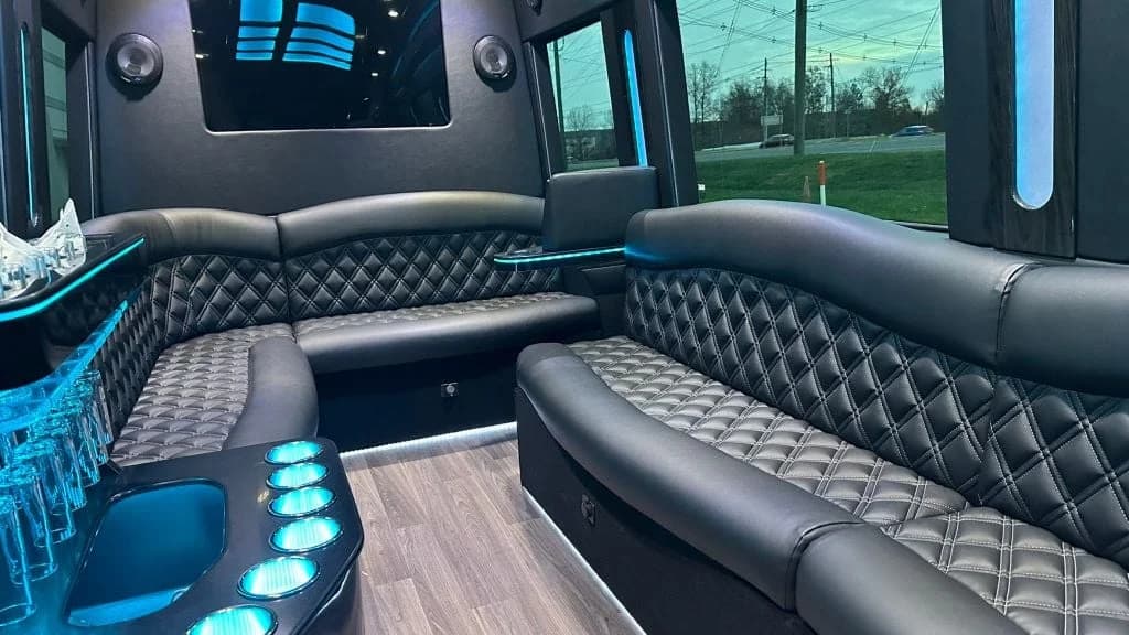 2025 Mercedes-Benz Sprinter TWR 14 Passenger LIMO - Image 10