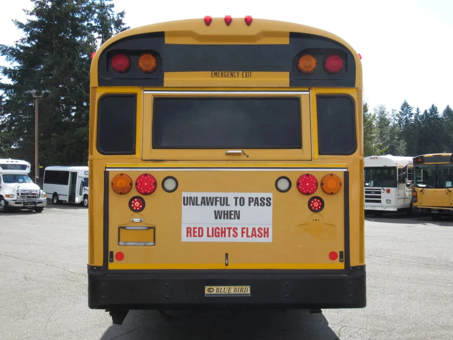 2011 Blue Bird All American School Bus - Image 6