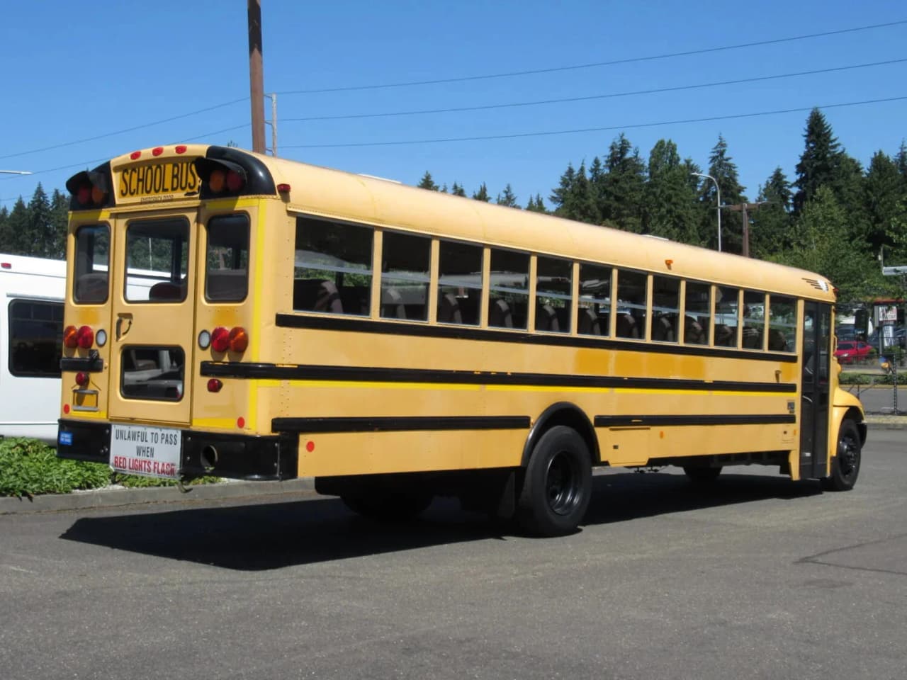 IC CE 300 #20496 - Image 3