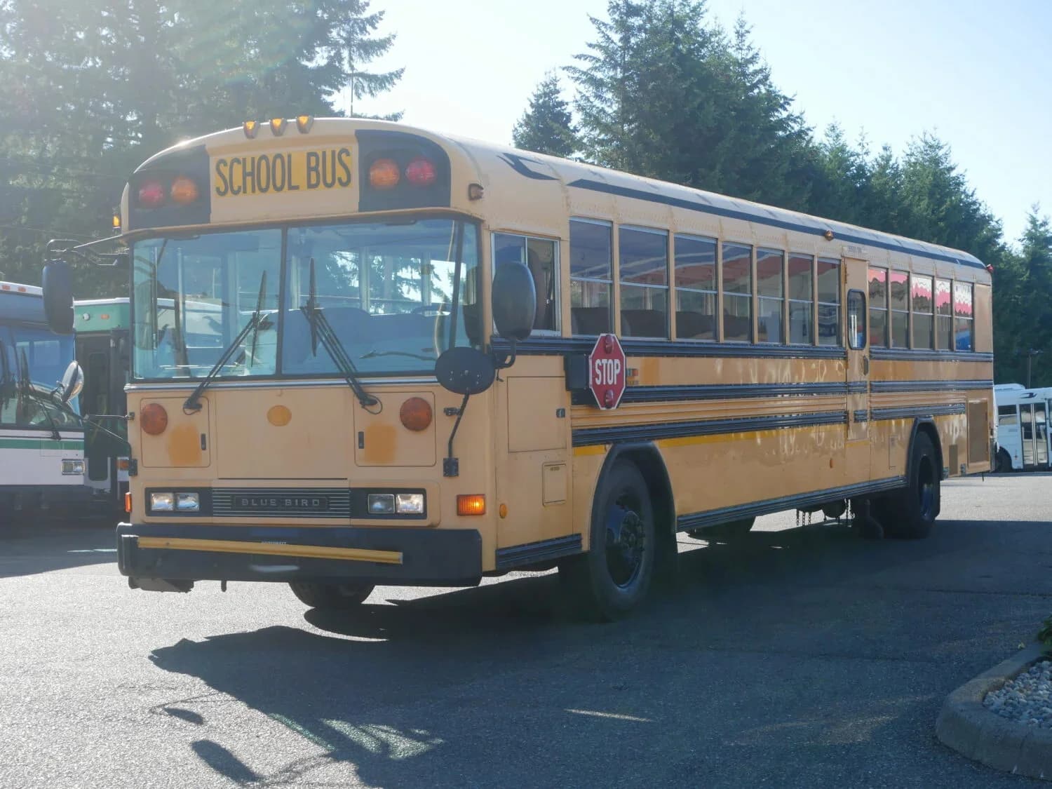 2007 Blue Bird All American School Bus - Image 2