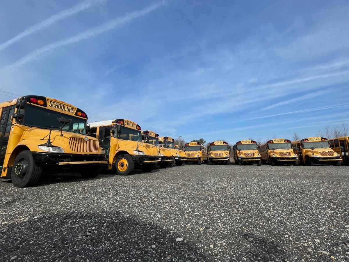 30 Matching Buses Package Deal - Image 3