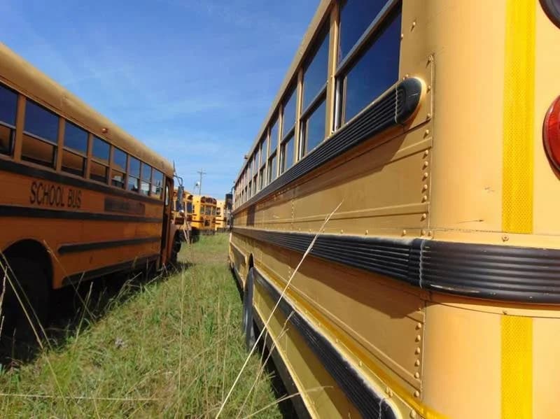 1990 International AmTran School Bus - Image 2