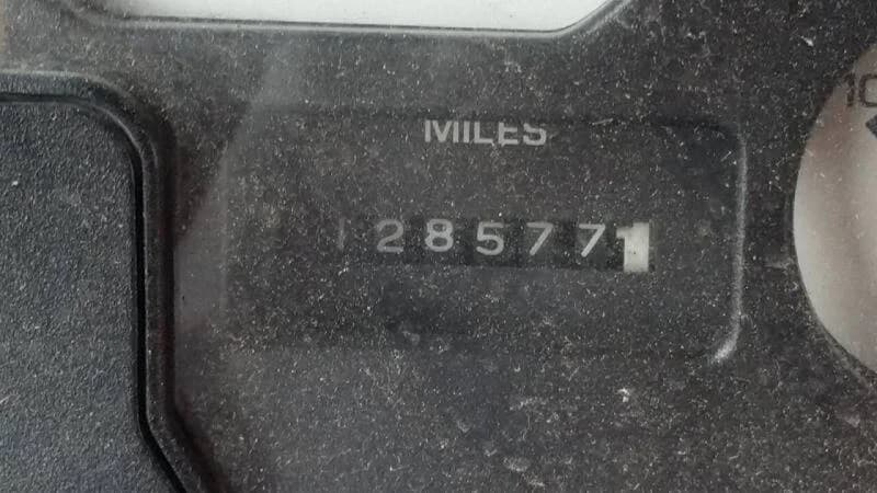2001 International AmTran School Bus - Image 4