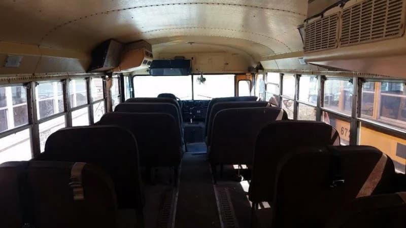 1990 International AmTran School Bus - Image 2