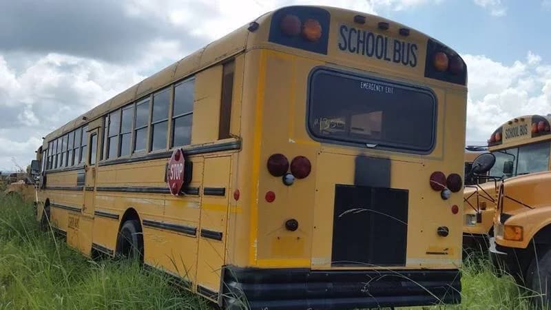 1998 International AmTran School Bus - Image 2