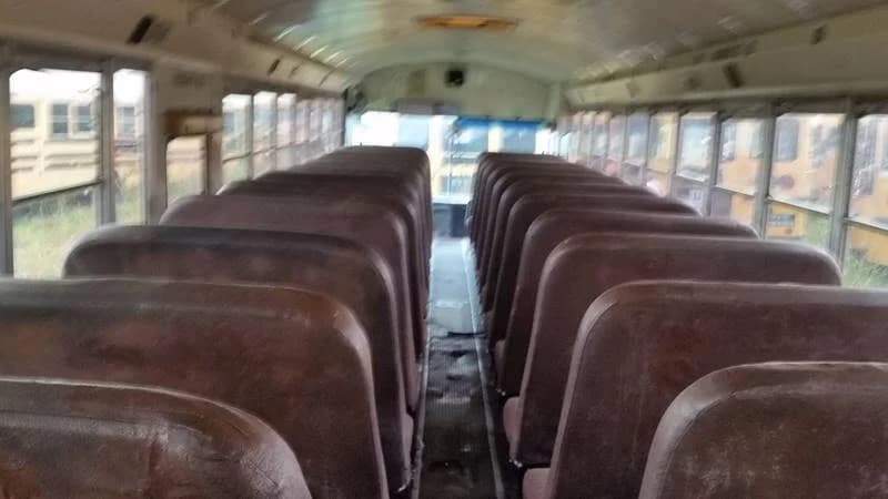 1998 International AmTran School Bus - Image 3