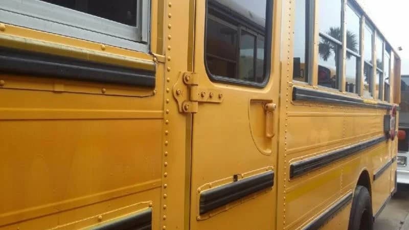 1998 International AmTran School Bus - Image 2