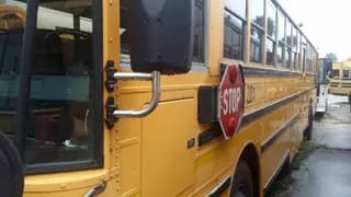 1998 International AmTran bus