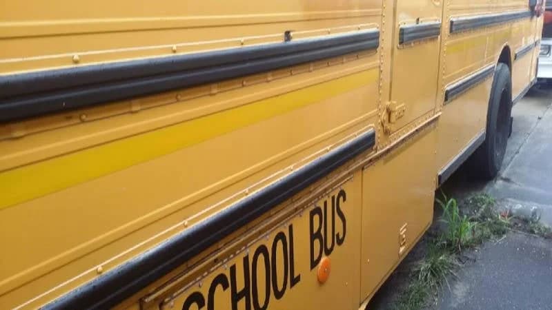 1998 International AmTran School Bus - Image 3