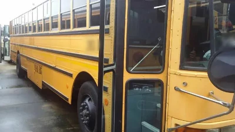 1998 International AmTran School Bus - Image 4