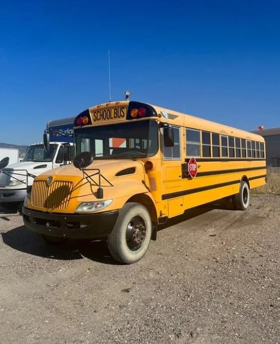 2010 IC CE School Bus - Image 1