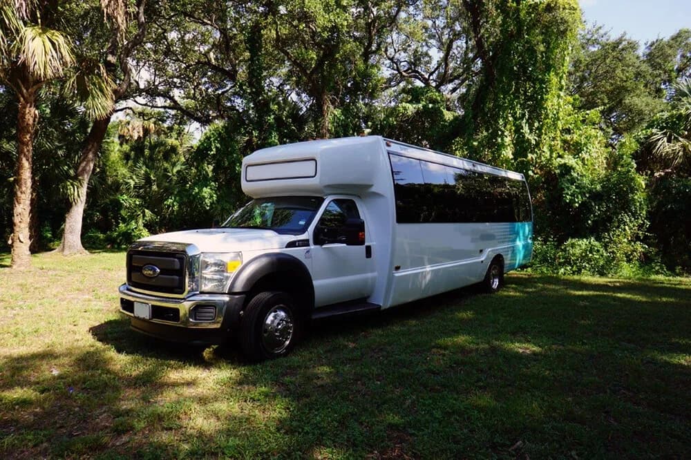 2015 Krystal K30 Mid Size Bus - Image 2