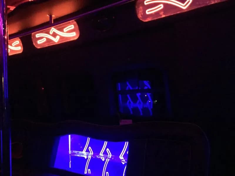 1994 Ford E-350 Limousine Buses - Image 3