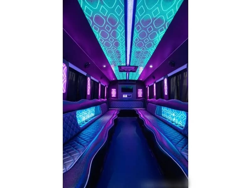 2015 Ford E-450 Cutaway Party Bus - Image 6