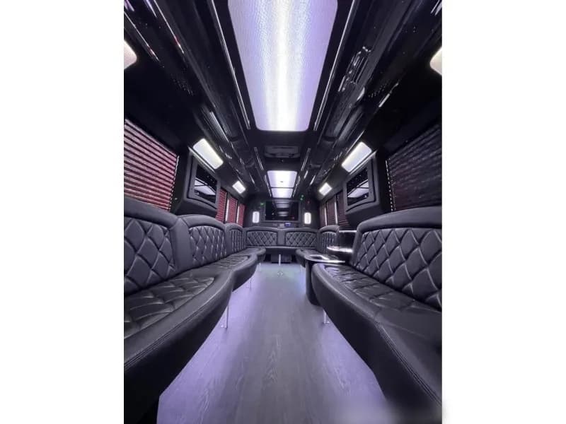 2015 Ford F-550 Tiffany Party Bus - Image 2