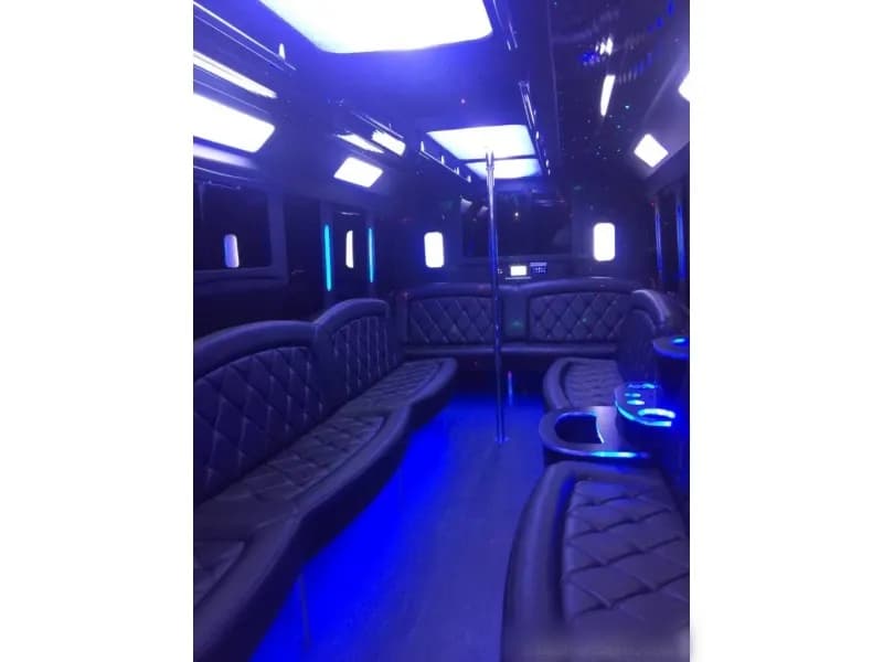 2015 Ford F-550 Tiffany Party Bus - Image 9