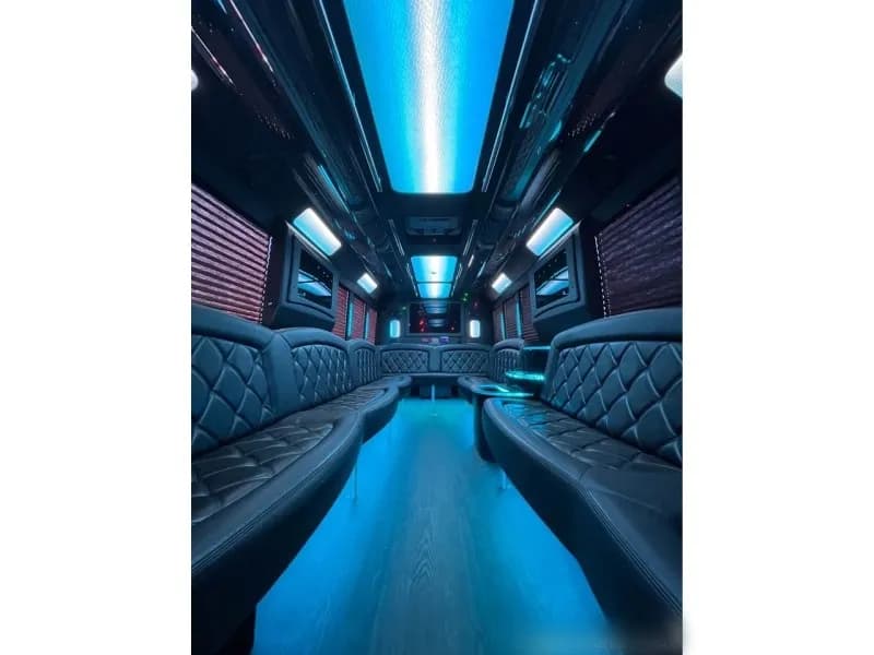 2015 Ford F-550 Tiffany Party Bus - Image 10