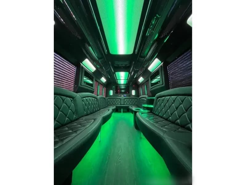 2015 Ford F-550 Tiffany Party Bus - Image 11
