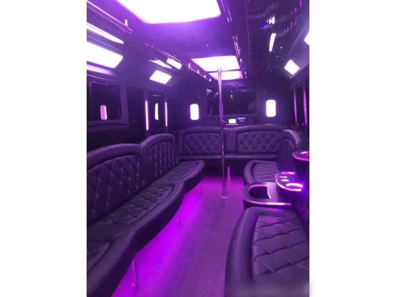 2015 Ford F-550 Tiffany Party Bus - Image 12