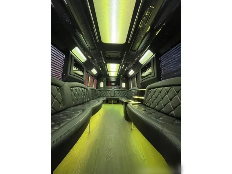 2015 Ford F-550 Tiffany Party Bus - Image 13