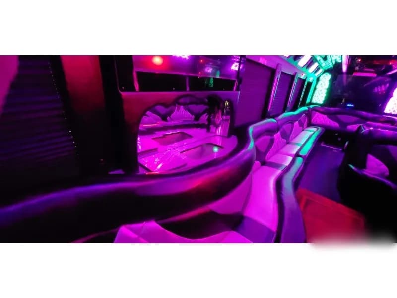 Deluxe Motorcoach Limo #24012 - Image 9