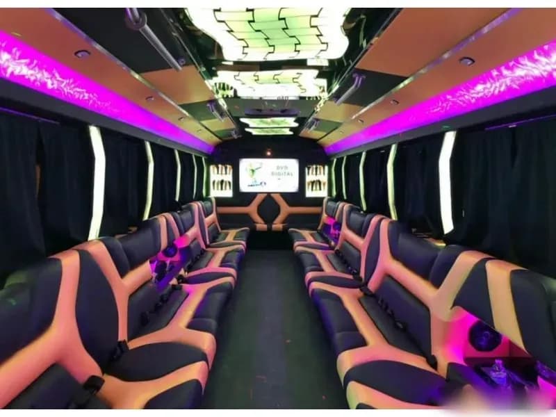 2014 Freightliner M2 Limo Party Bus - Image 2