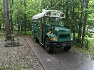 1990 International Blue Bird bus