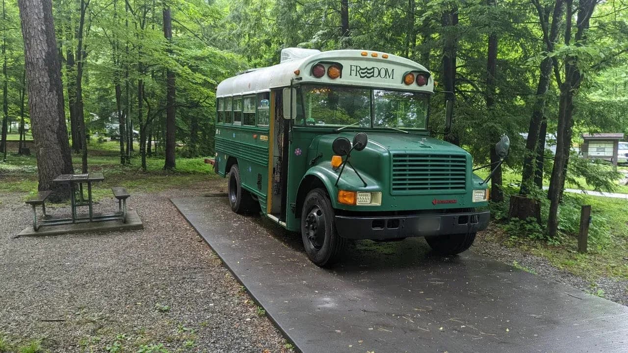1990 International Blue Bird Dog Nose Skoolie Conversion - Image 1