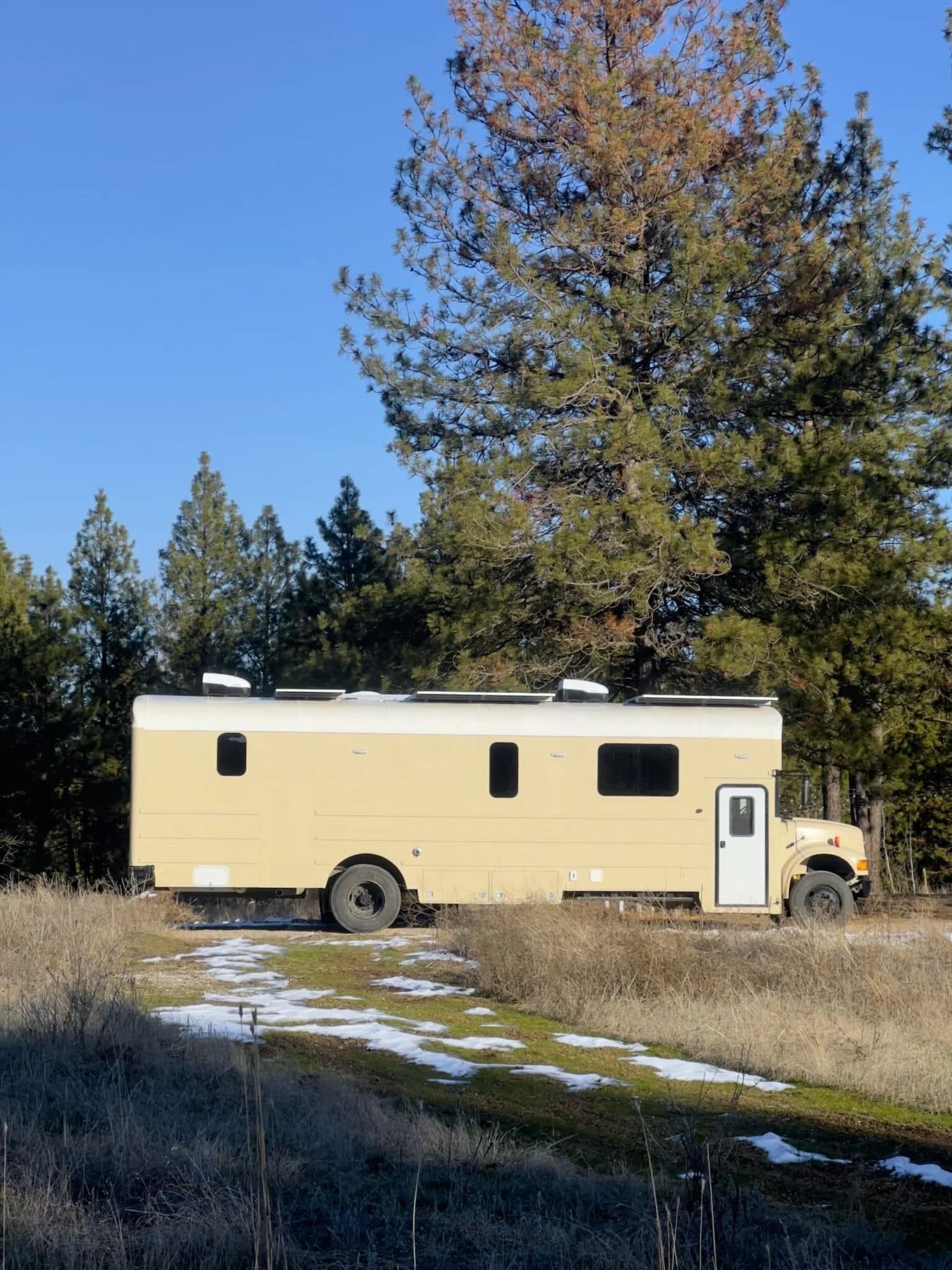 2000 International 3800 DT466 Skoolie Conversion - Image 4