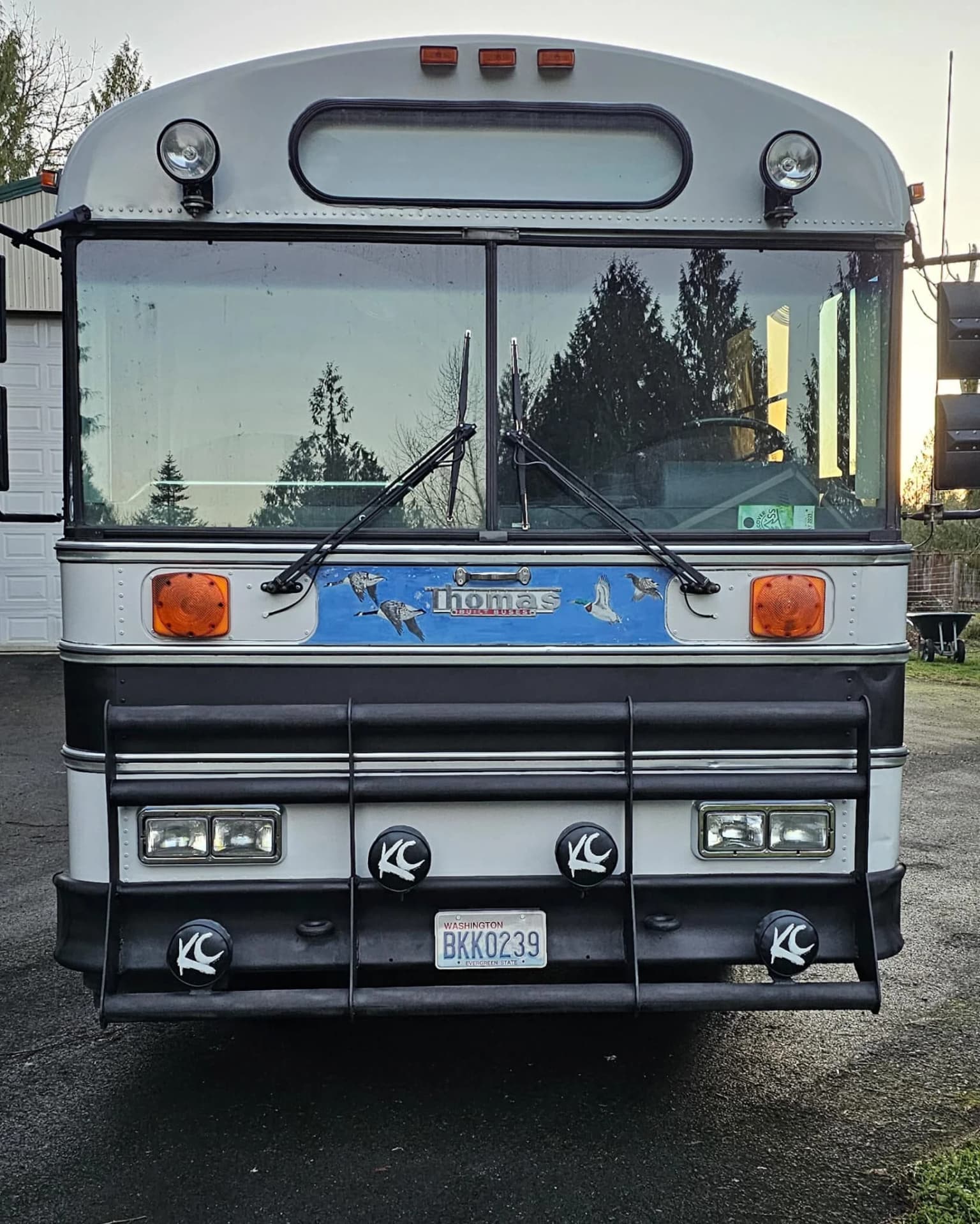 Transit Liner #24428 - Image 2