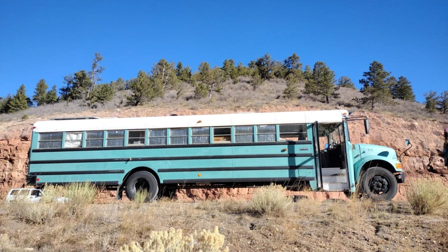 1999 International 3800 AmTran Skoolie - Image 2