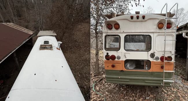 1999 International 3000 Dog Nose Skoolie Conversion - Image 7