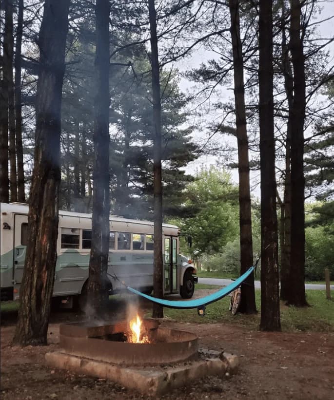 2001 International 3800 Skoolie Conversion - Image 2