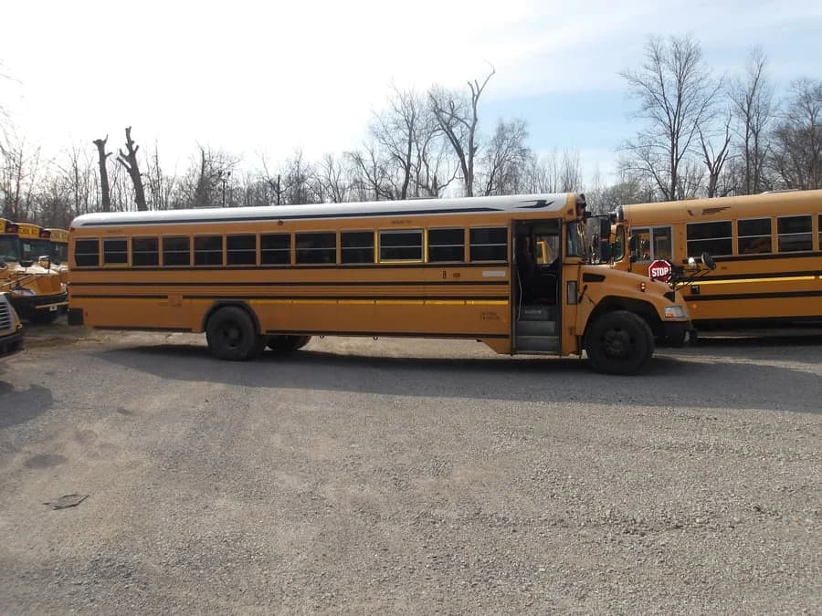 2011 Blue Bird Type D School Bus - Image 3